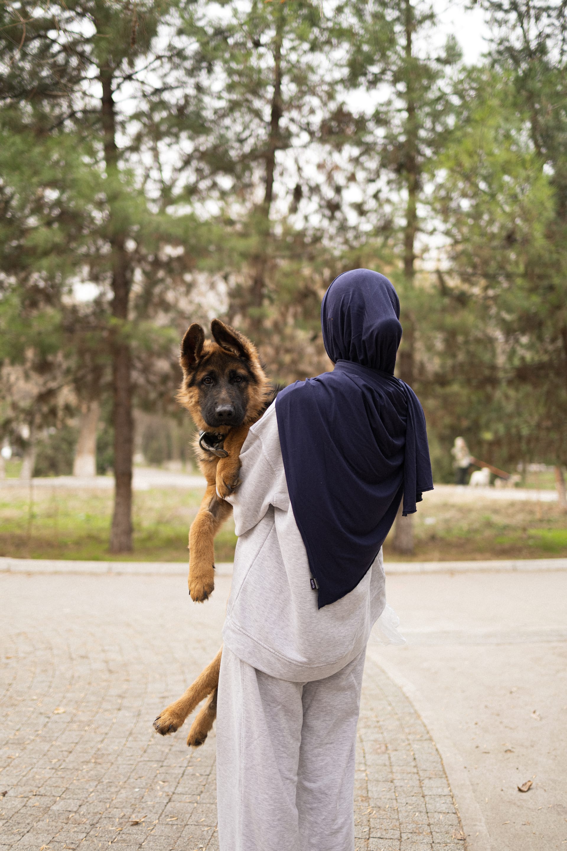 Pet Joy — 9