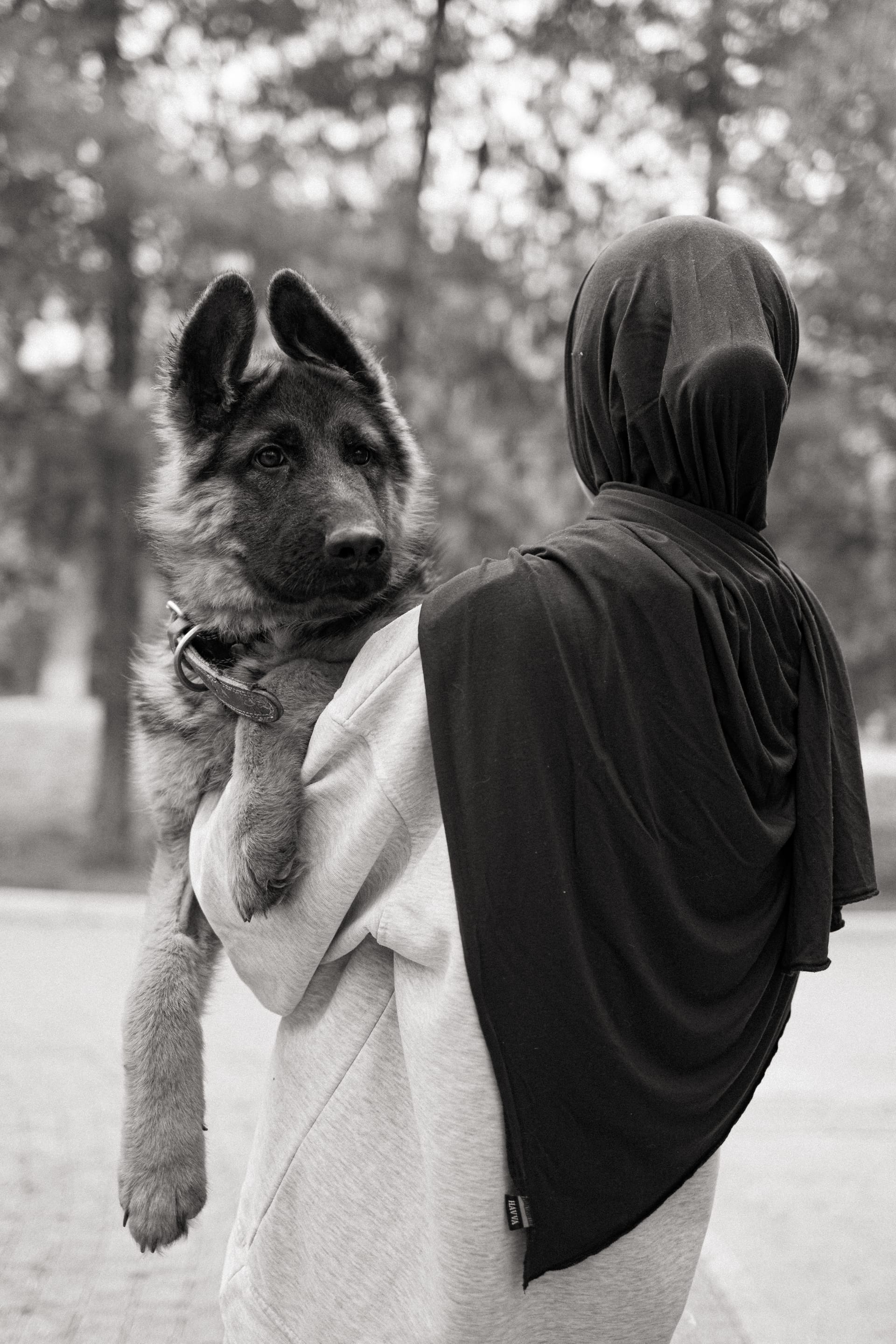 Pet Joy — 10