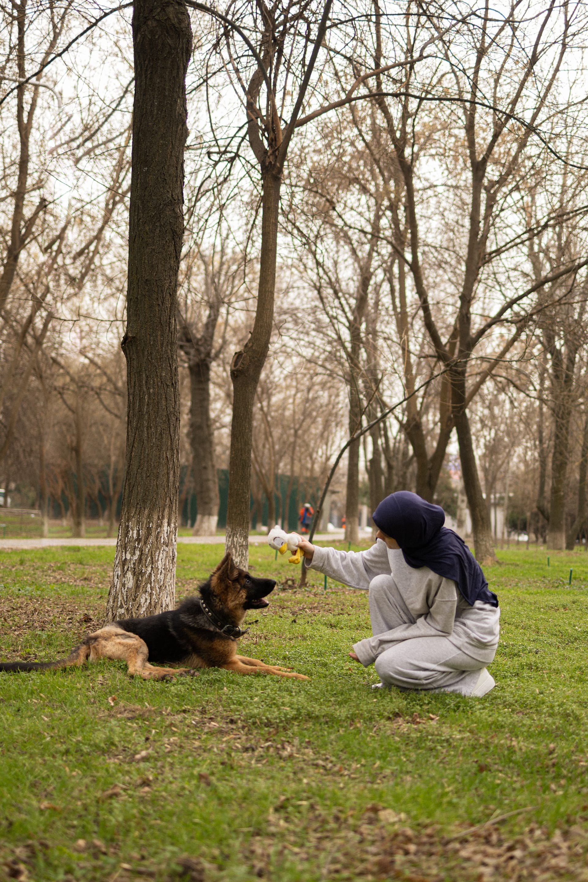 Pet Joy — 15