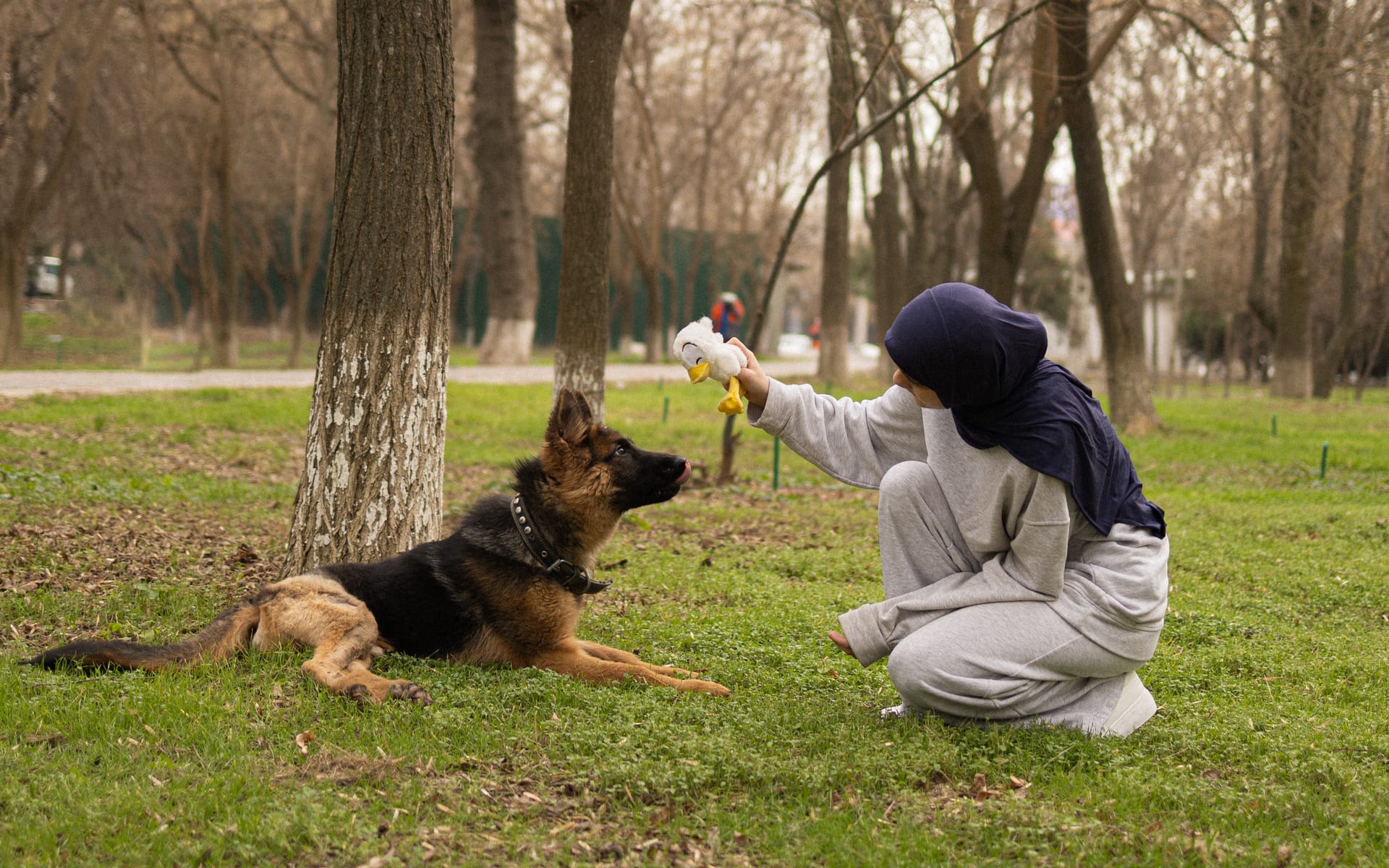 Pet Joy — 16