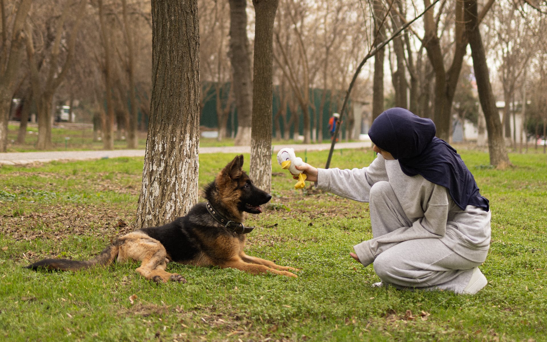 Pet Joy — 17