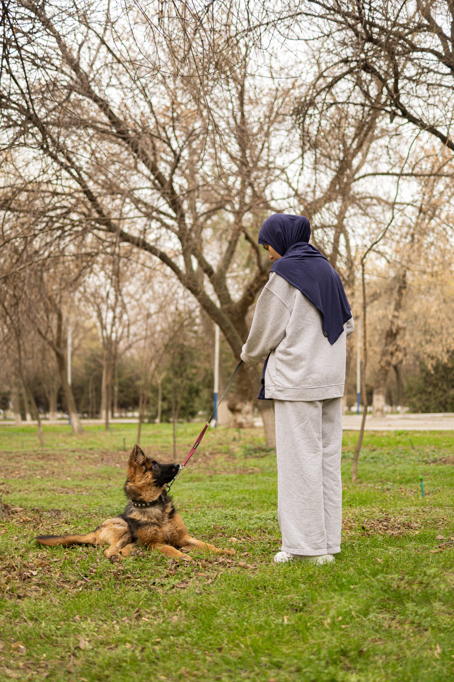 Pet Joy — 22