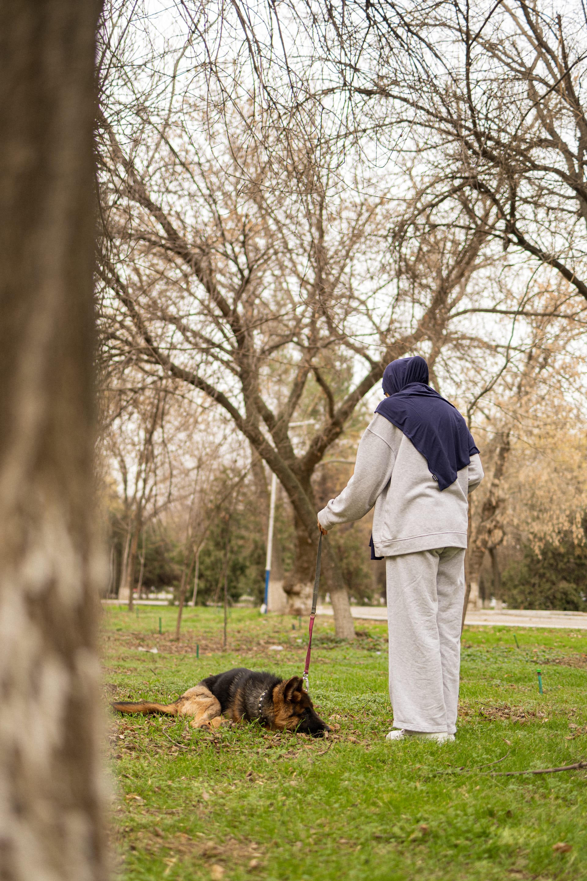 Pet Joy — 23