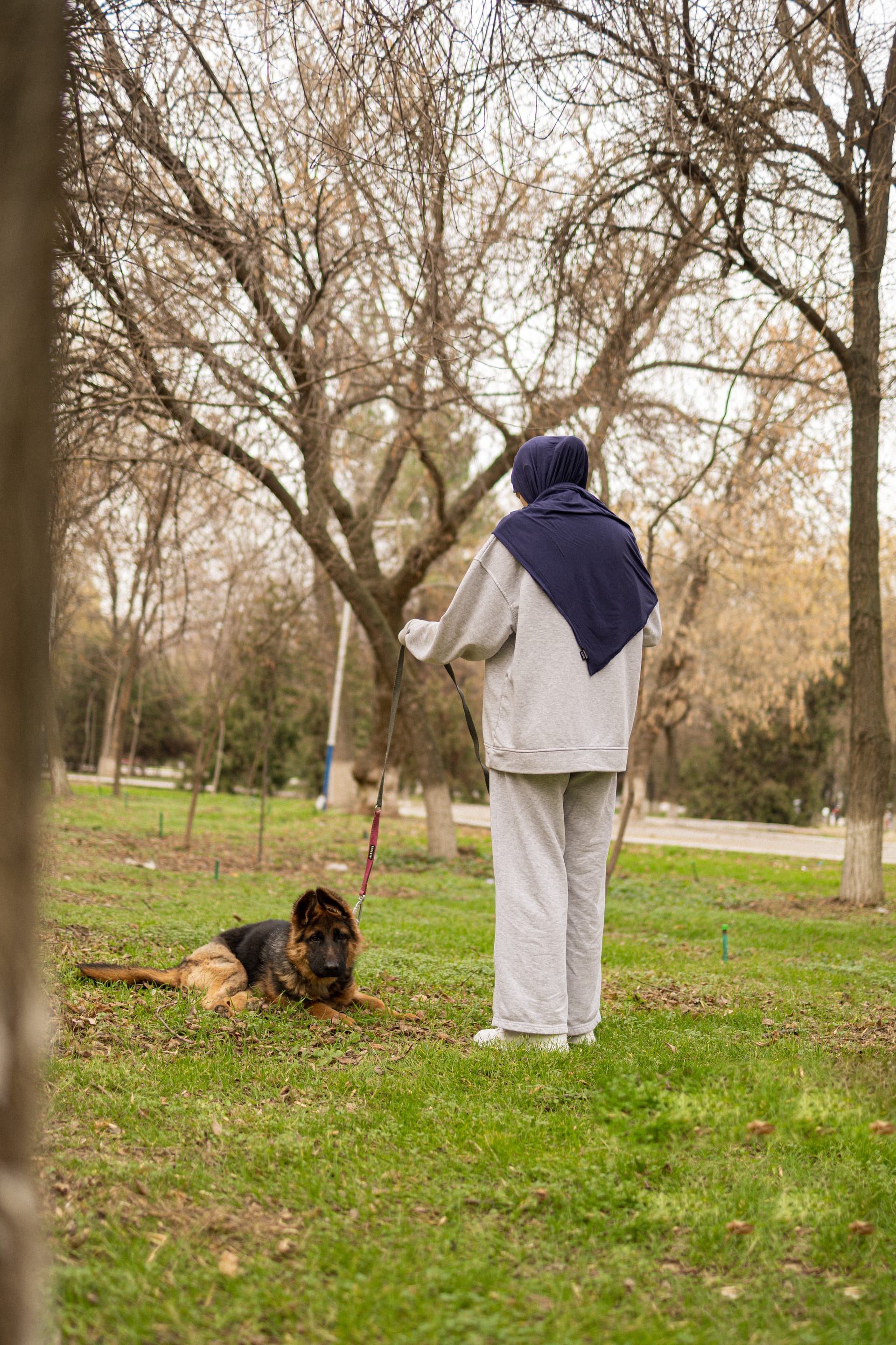 Pet Joy — 24