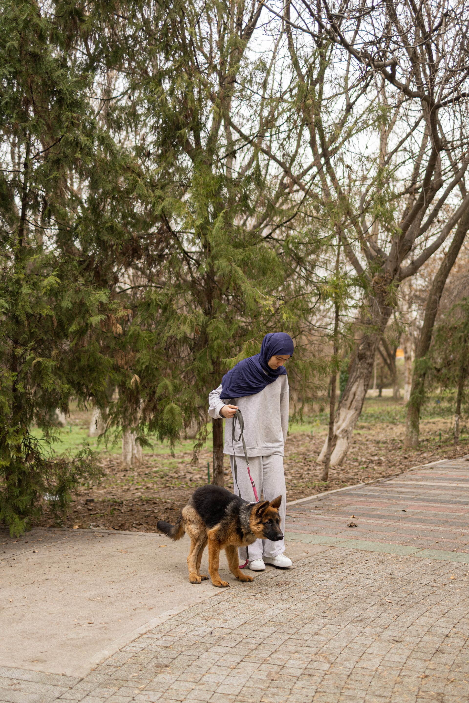 Pet Joy — 27