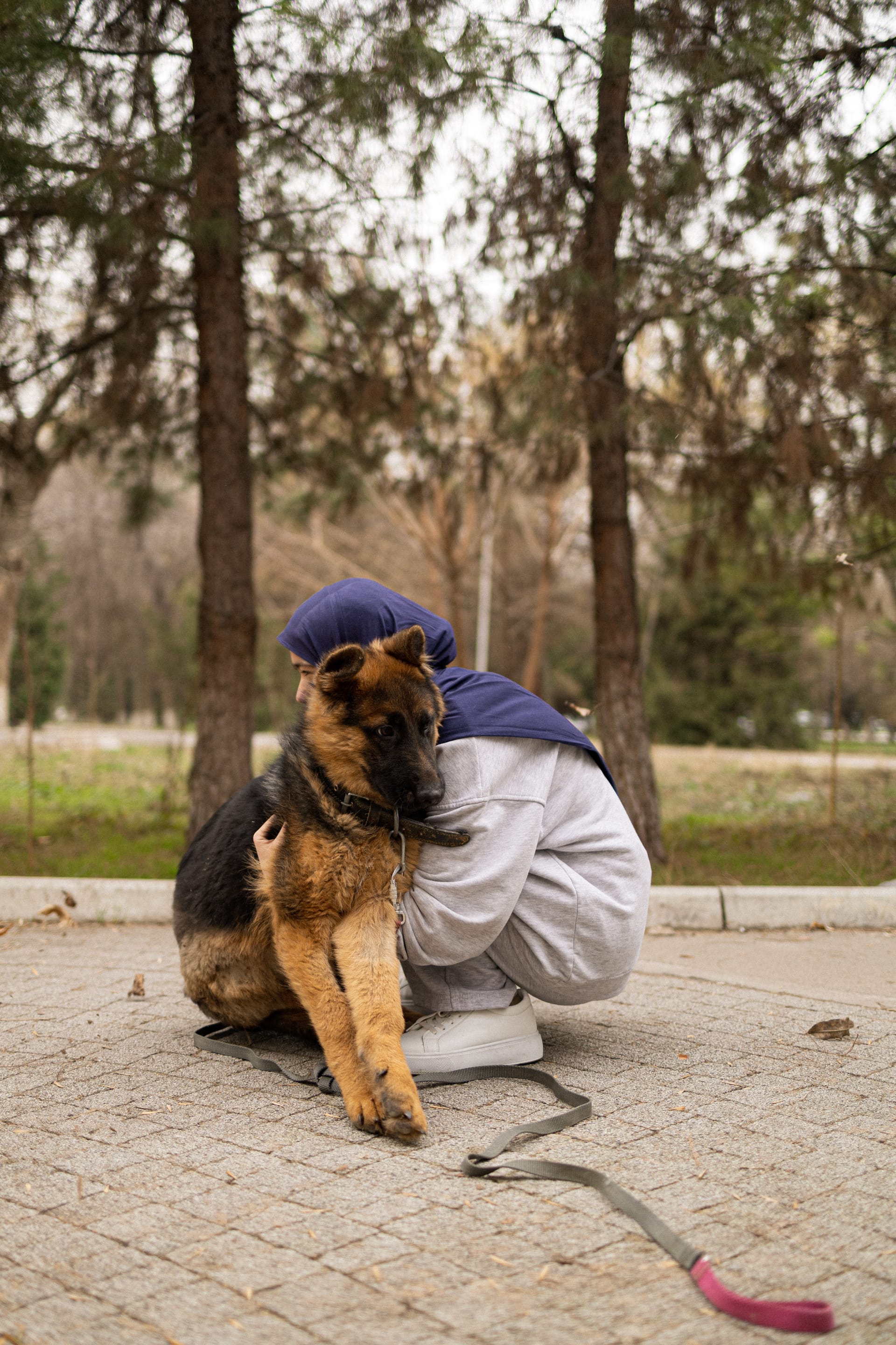 Pet Joy — 31