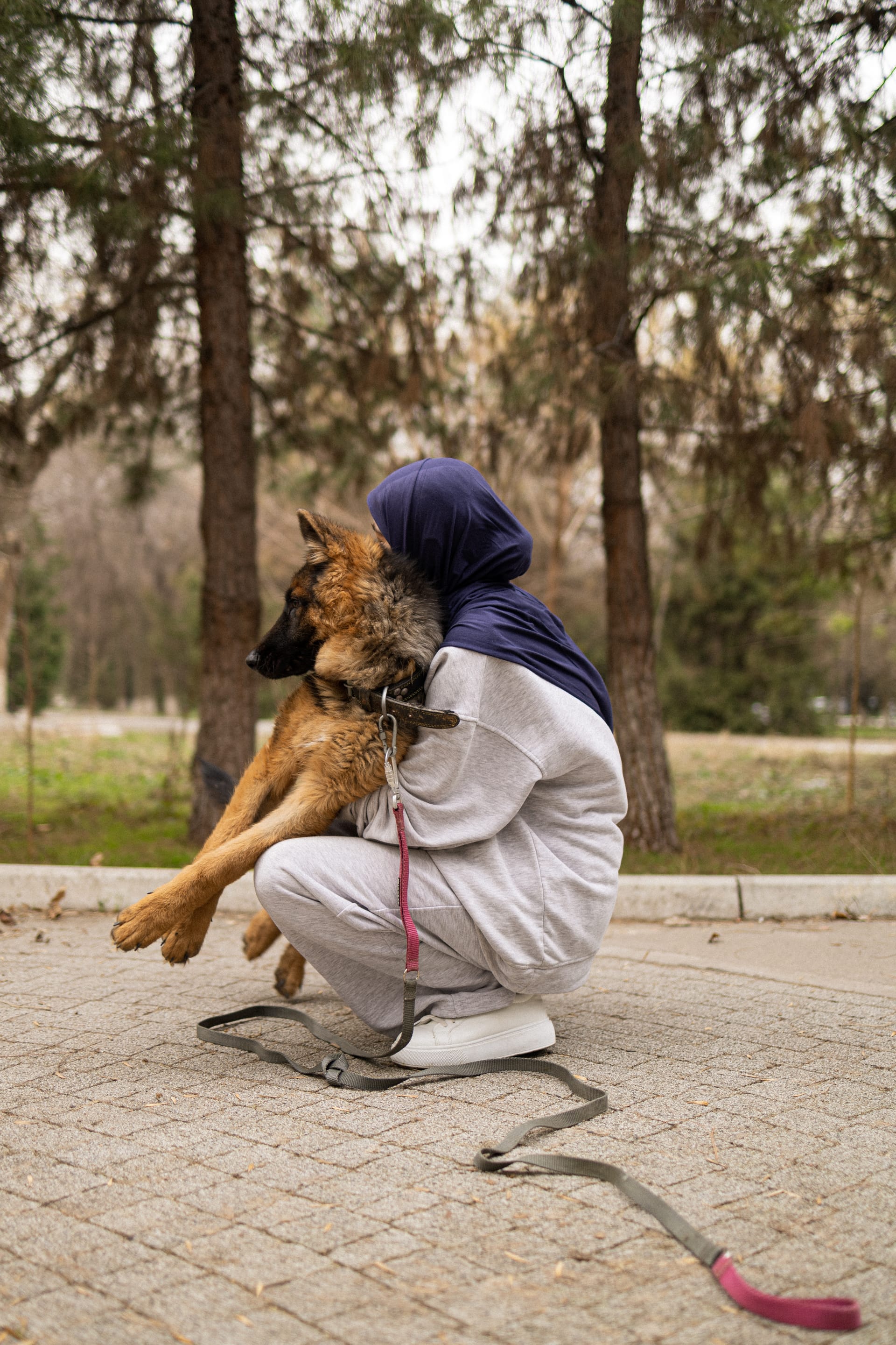 Pet Joy — 32