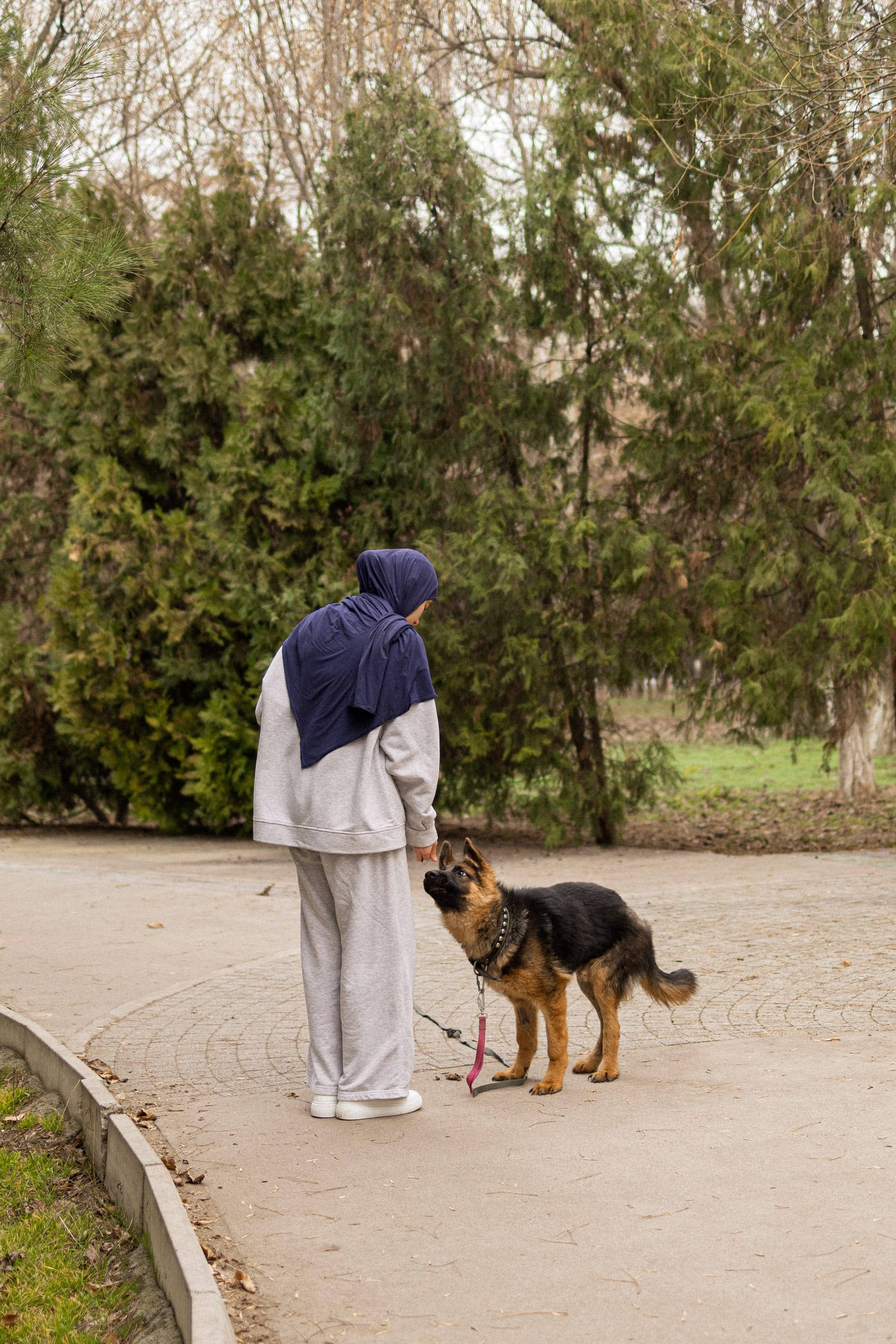 Pet Joy — 41