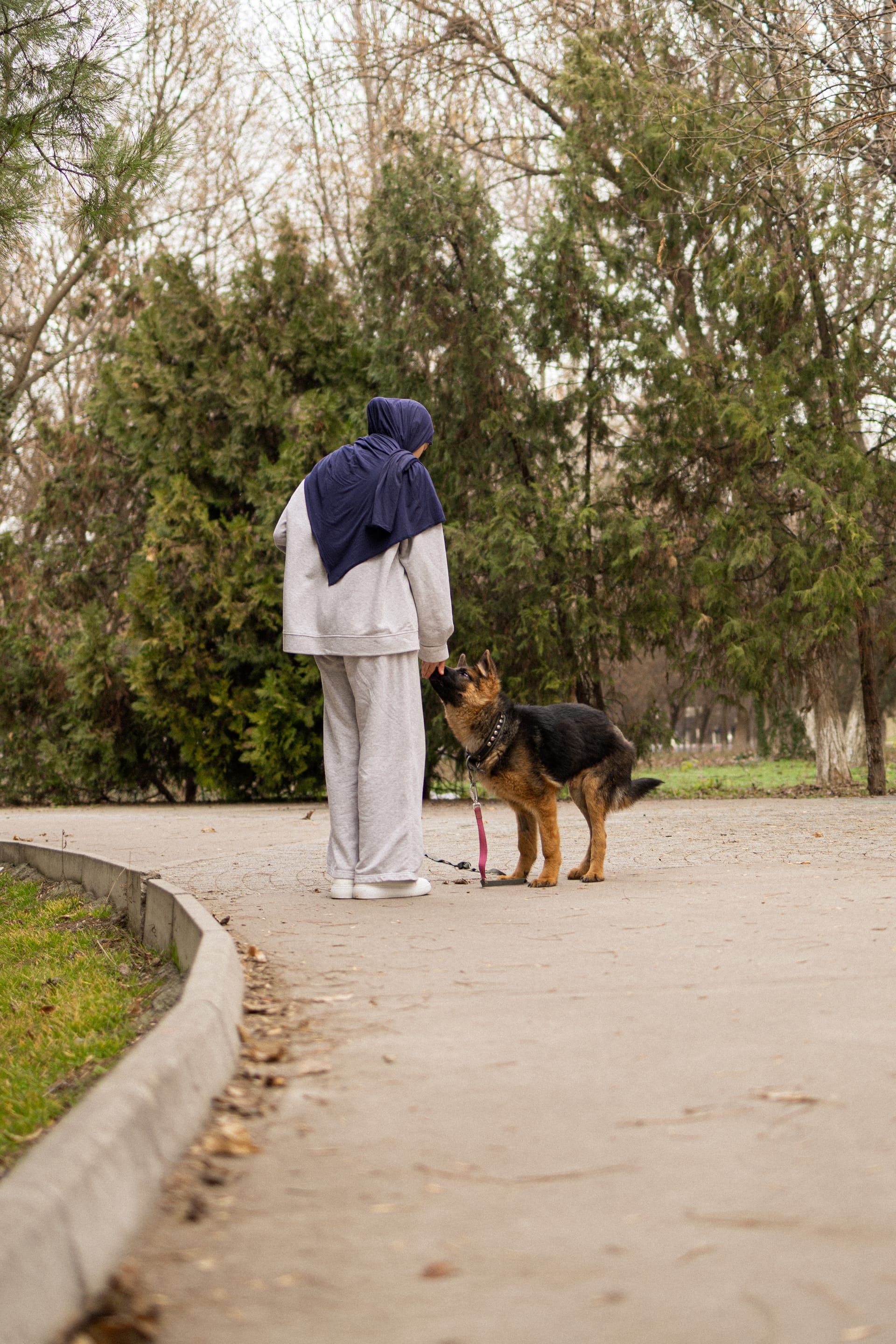Pet Joy — 42
