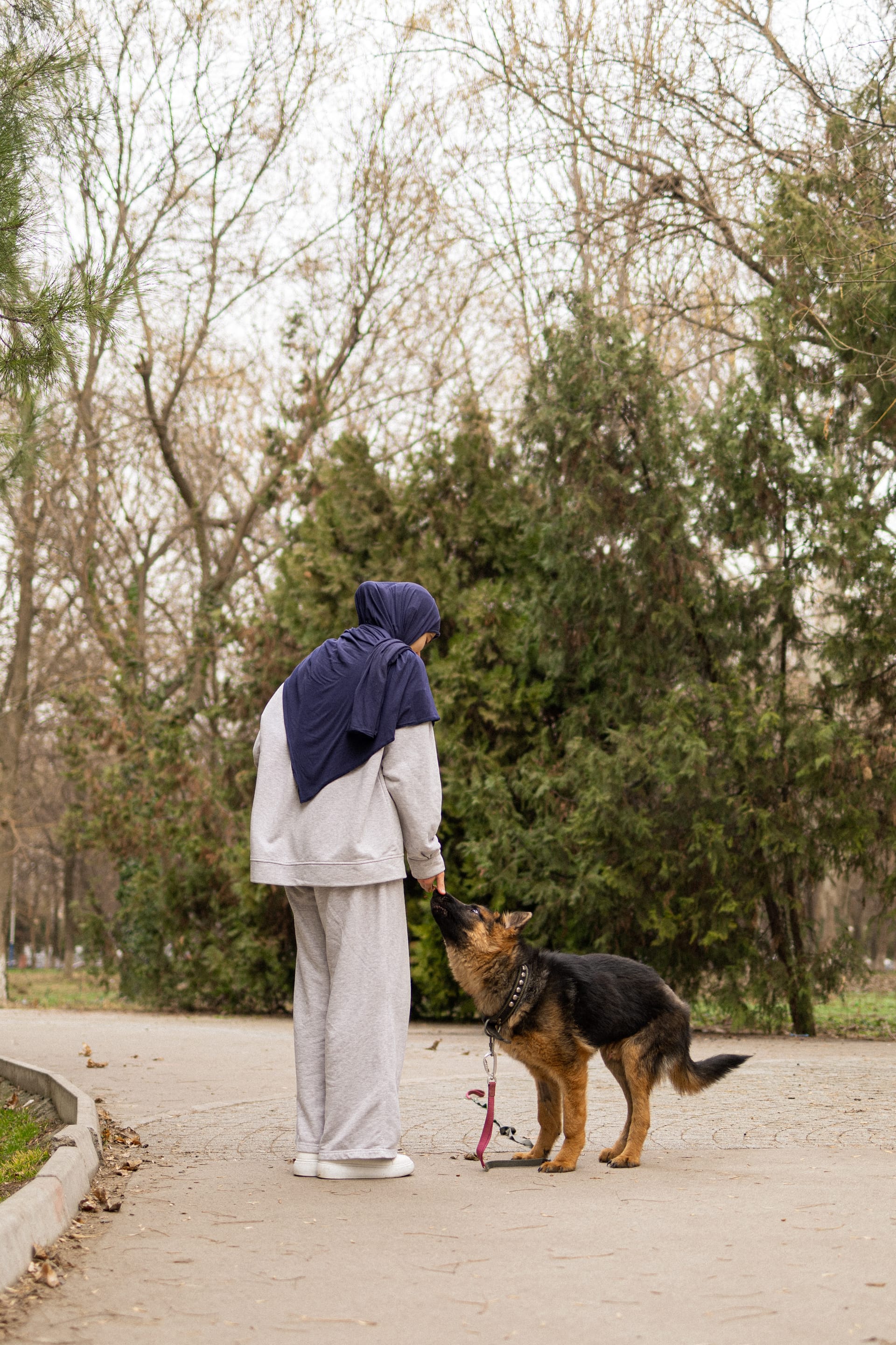 Pet Joy — 43